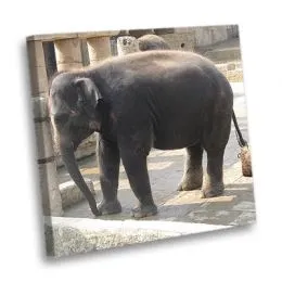 Leinwand mit Foto - 60x60 cm