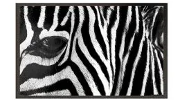 Schmutzfangmatte 75 x 105 cm